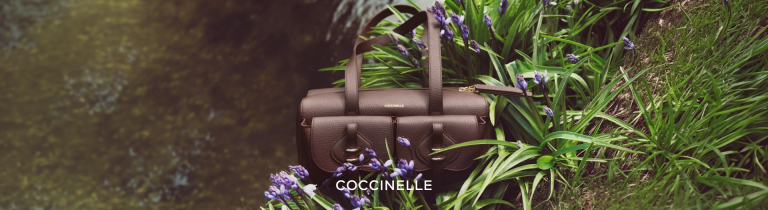 Coccinelle